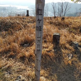 墓のテーマパークや。