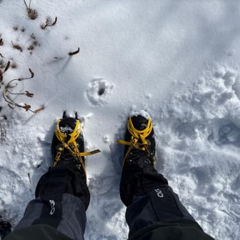 必要なかったけど、ちょっとだけアイゼンも楽しみました。