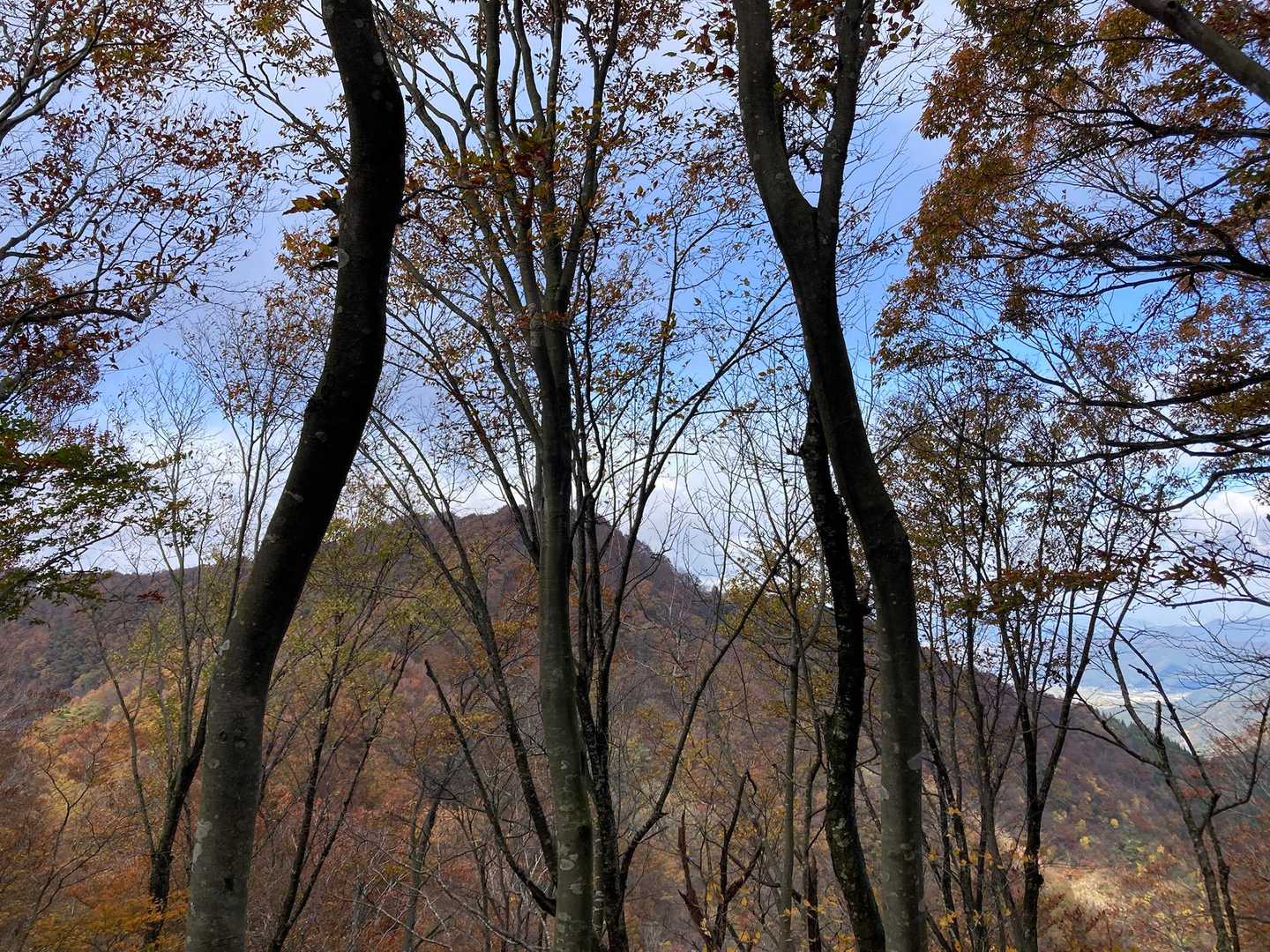 見える山も紅葉🍁