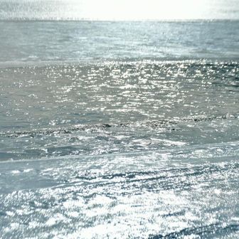 キラキラが邪魔😬

日が翳ったらまたきます