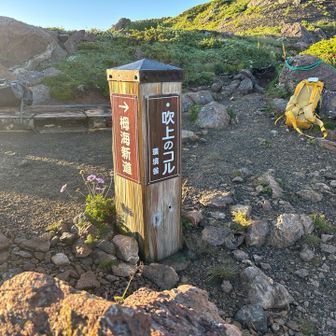 なだらかに整備された木道を下っていきます。吹上のコルにきました。