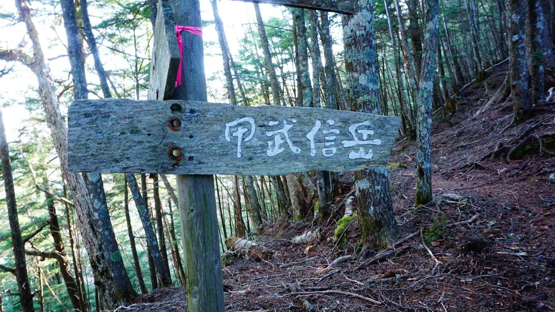 甲武信ヶ岳-三宝山-武信白岩山-大山-十文字峠 縦走コースの写真