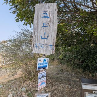 １時間程度の森林浴ハイキングをしたあとに到着
