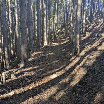 春岩山を巻いている道