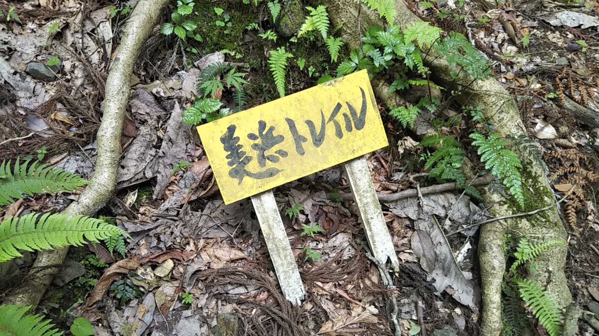 美浜トレイル❗️カッコいい✨