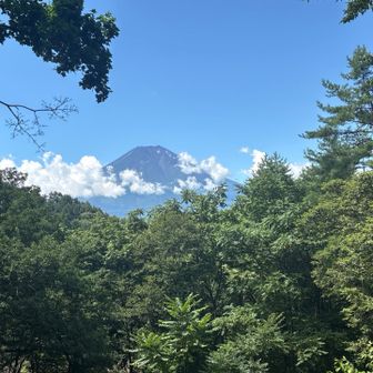 ビュースポイントからの富士山🗻。