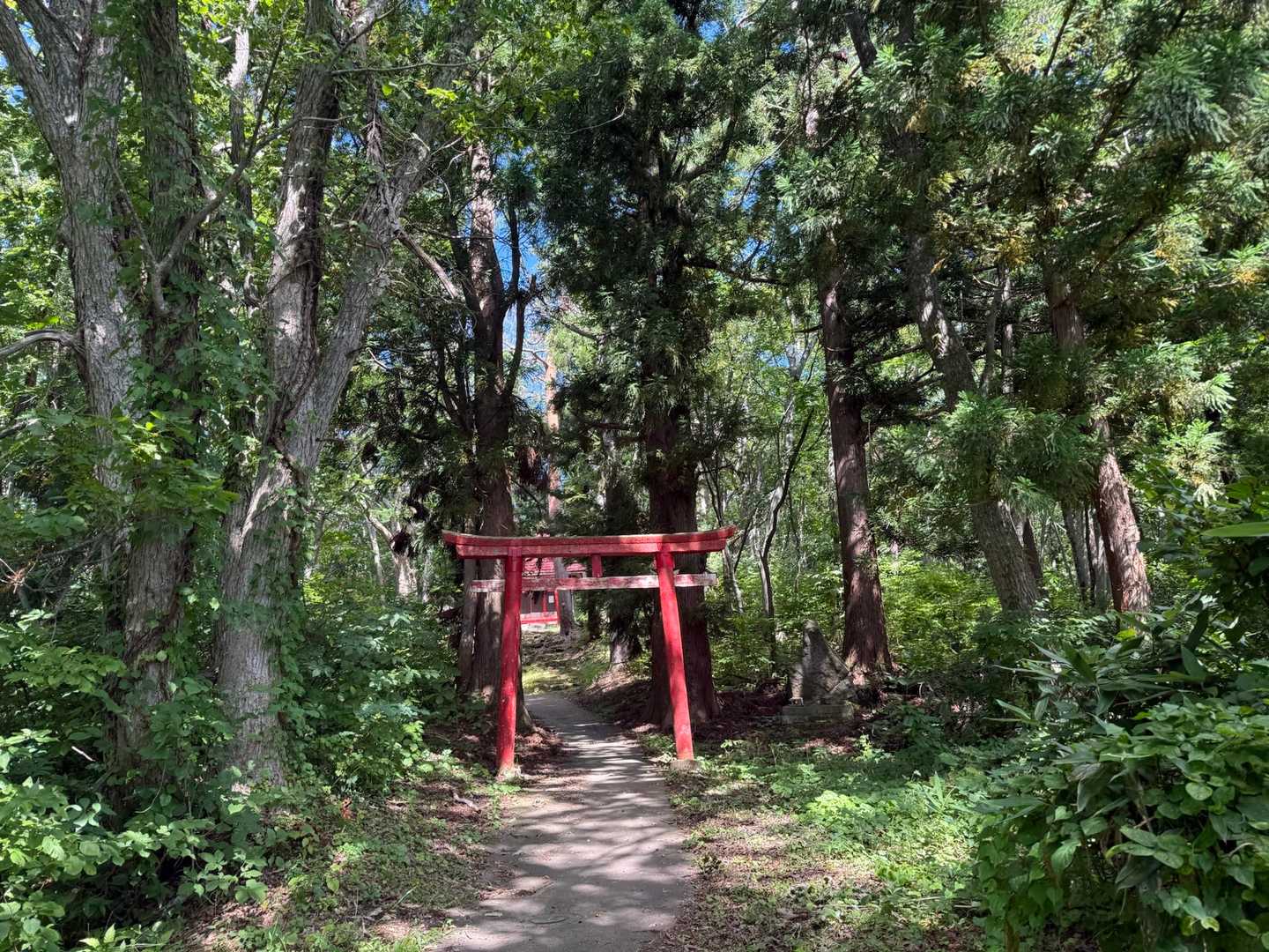 走ったおかげで余裕のゴール🏃‍➡️
