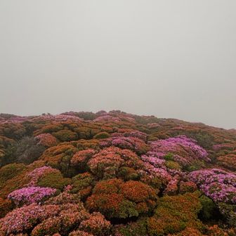 北大船はオレンジカラー🧡