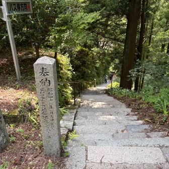 下山開始。951段の石階段がつづいているとか。西国三十三所の中では一番キツいらしい。

951段なんて、階段のぼりが大変だった四国八十八ヶ所／71番札所 弥谷寺（540段）を思いっきり上回るやん😮