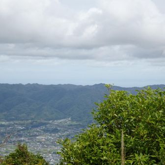 粉河方面