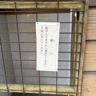 トイレ入り口に鹿戸！🚪🦌