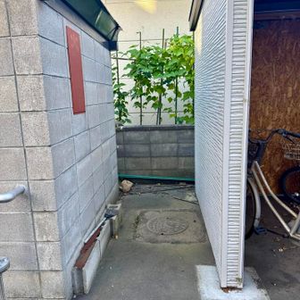 自転車置き場と物置の間にマンホールがあります