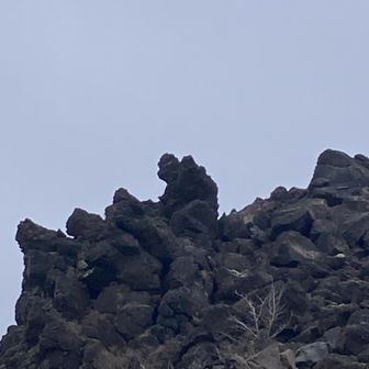 多分これが「ゴリラ岩」。気が付かずに何度も前を通り過ぎていたわけだ。

俺じゃなきゃ見逃しちゃうね。

まぁ、私には「ゴジラ岩」に見えるわけだが。