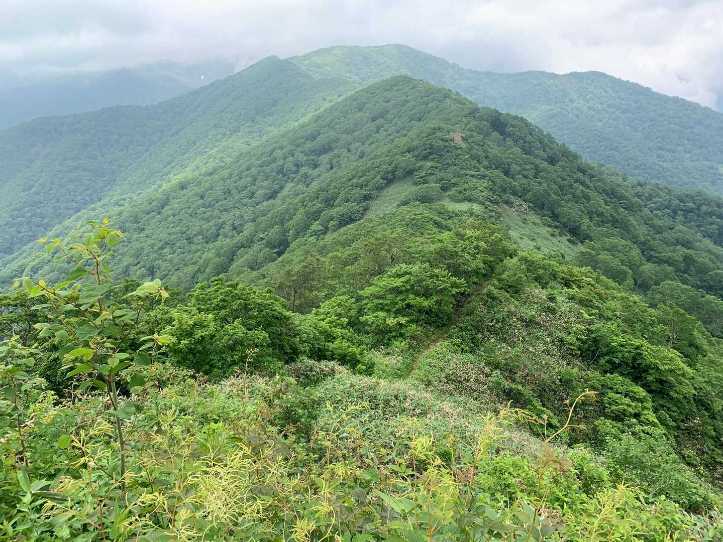 正面奥が大源太山です