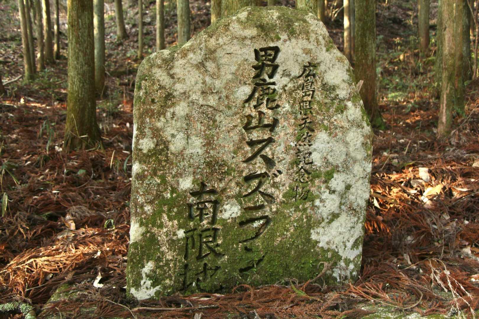 スズランの咲く頃に来ないだろなぁ