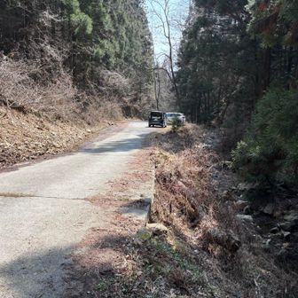 裏参道の駐車場🅿️
約5台分のスペース