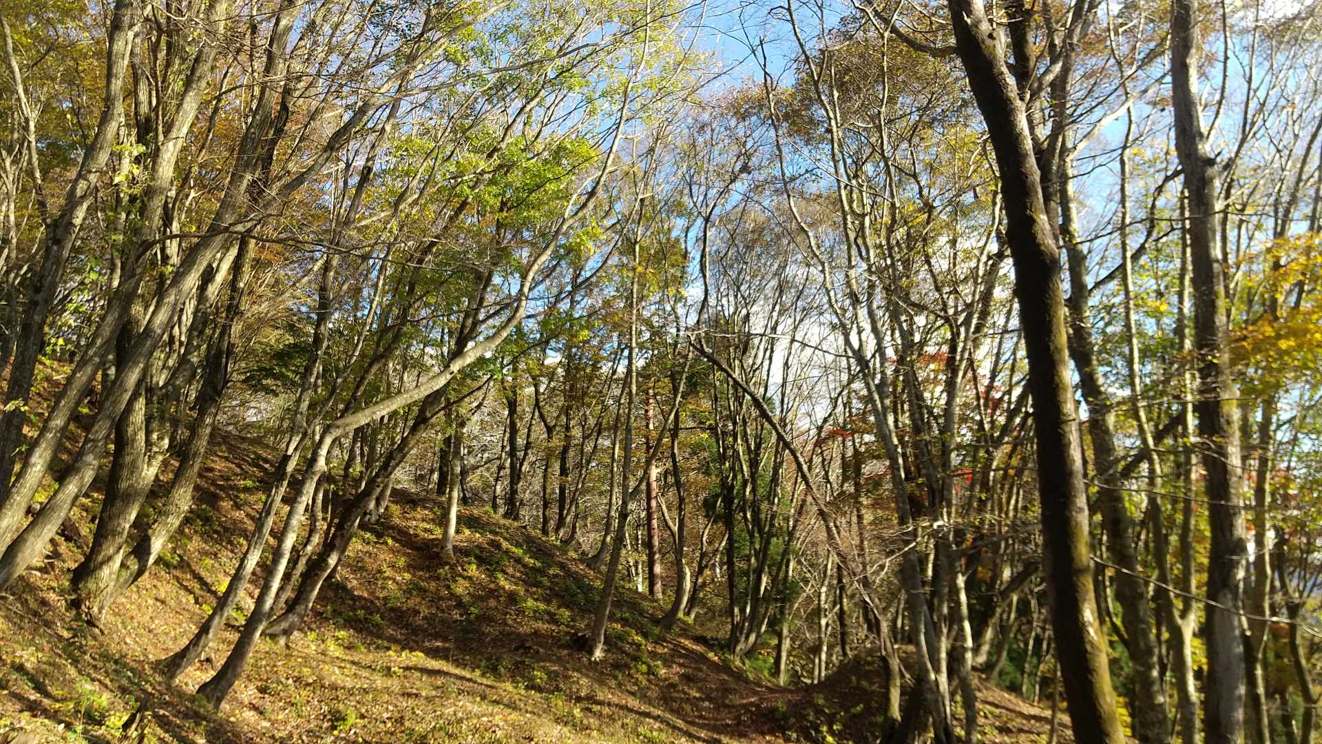 明るくて気持ち良い