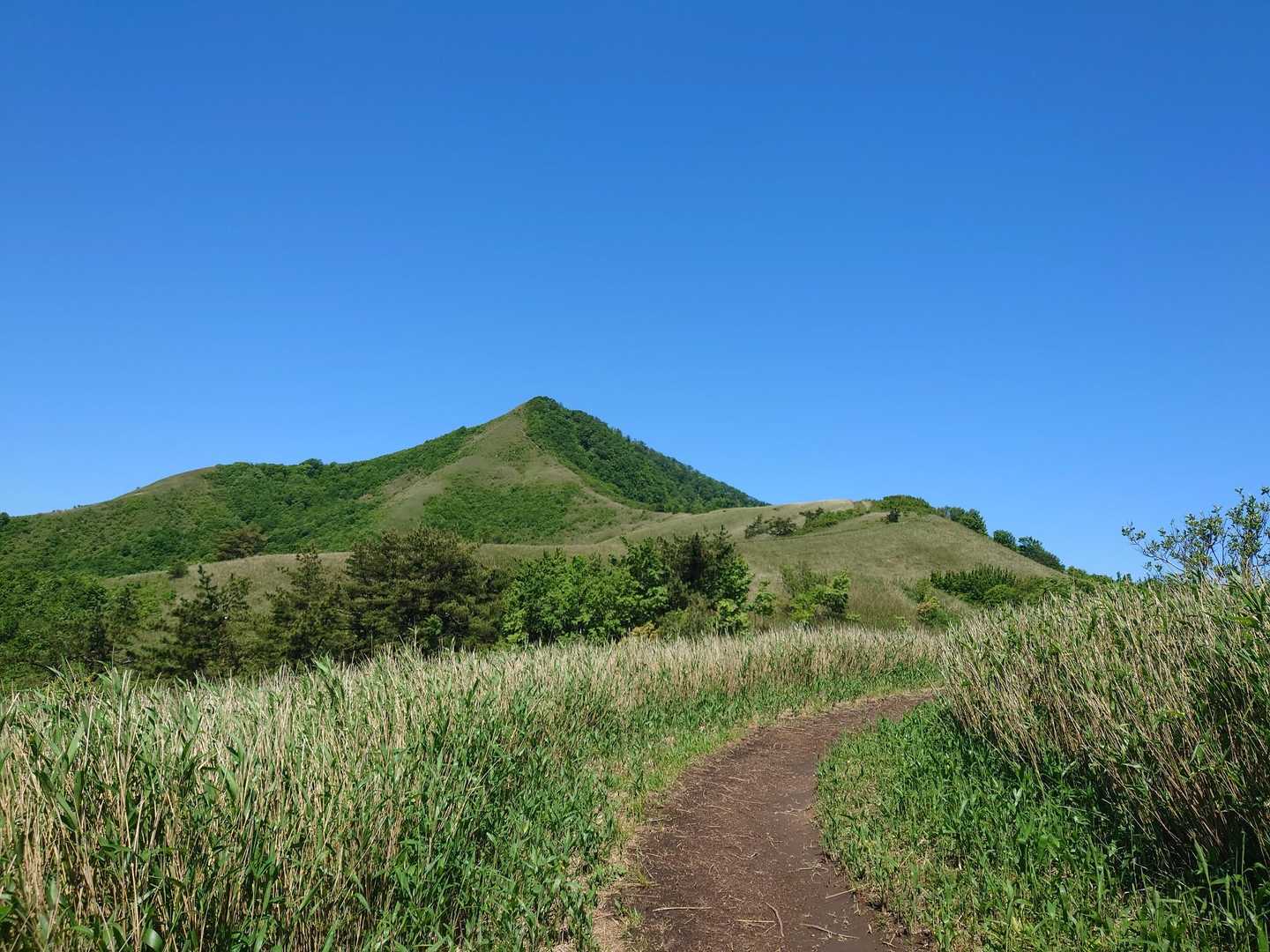 蒜山三座 縦走コースの写真