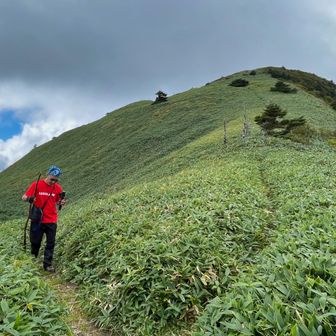 鞍瀬ノ頭　東側分岐