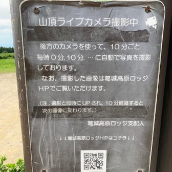映り込んでみましたが、10分で消えてしまうの、後で知りました…無念…