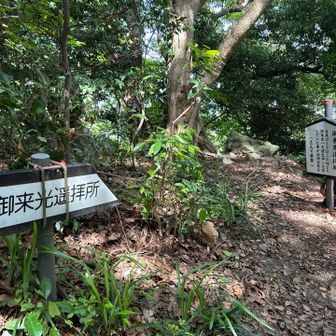 普段は立ち入り禁止です！
