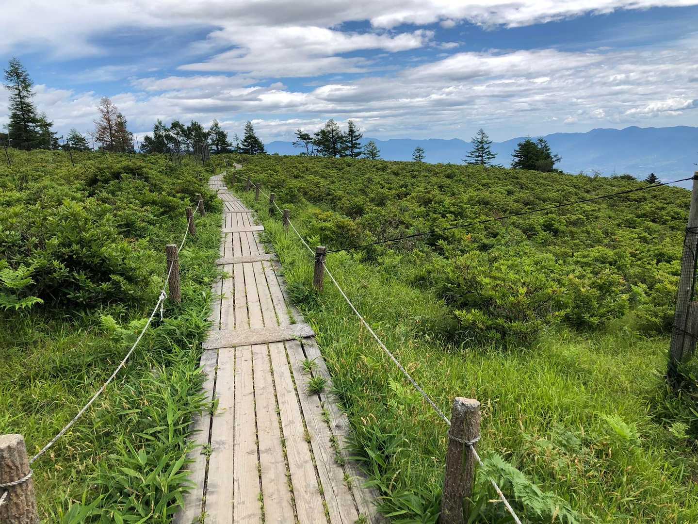 甘利山登山口-甘利山-大西峰 往復コースの写真