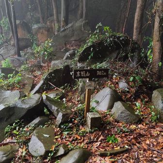 山頂の様子　北東側が開けています　👀