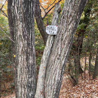 続いて「からす山」