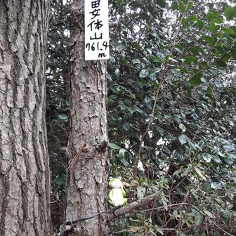 こっちはあっさり💦