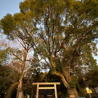 ライトつけずにスタート