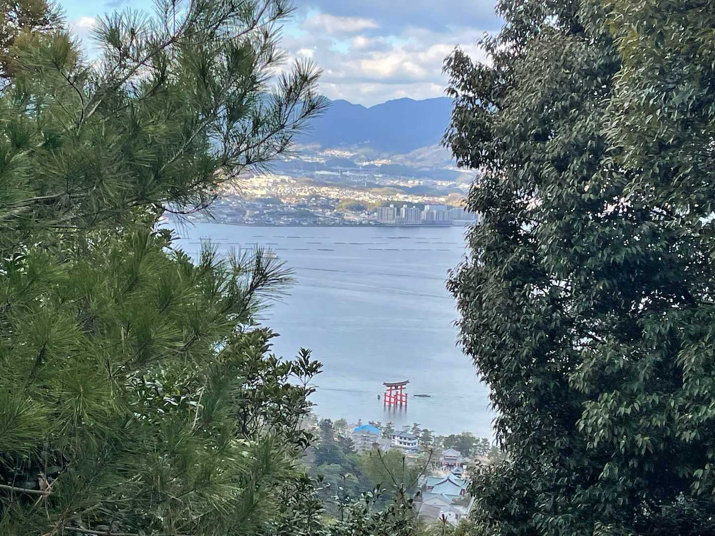 駒ヶ林-弥山 往復コースの写真