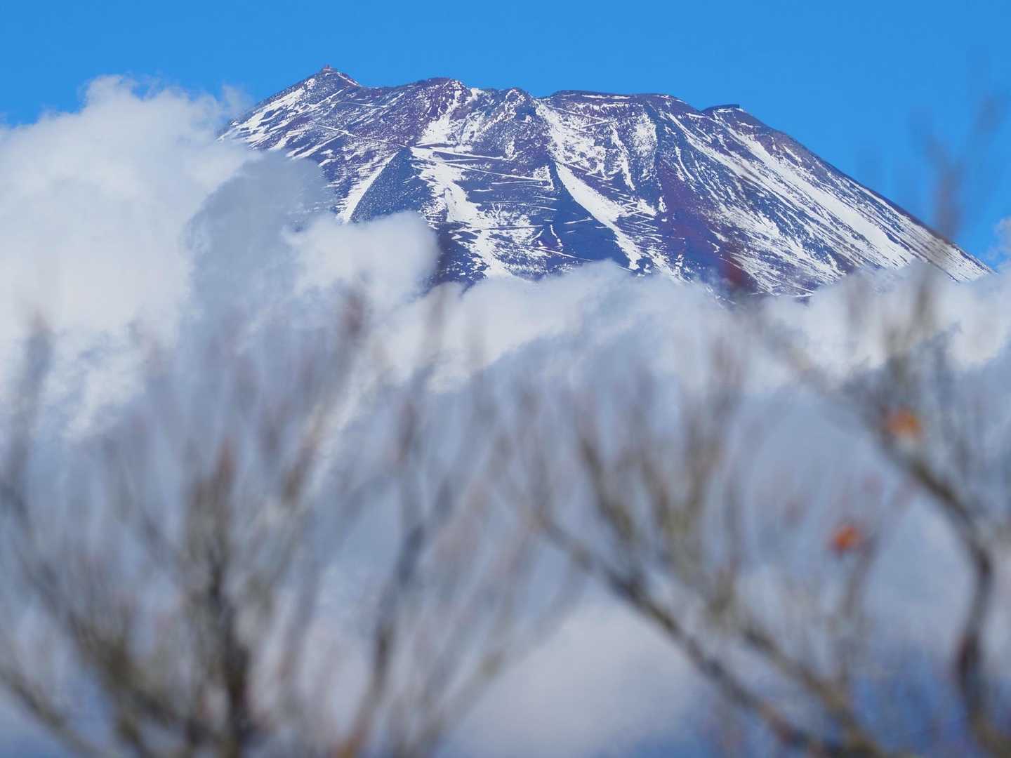 午前中の富士山は雲の中だったり現れたりの繰り返し