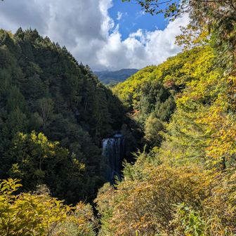 善五郎の滝　展望台から