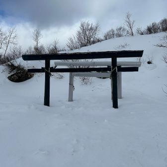今週の雪でどれくらい埋まるかな