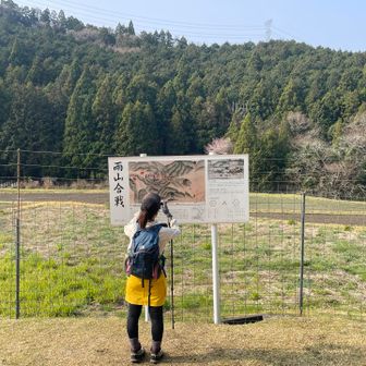雨山山ー

ミツマタ見に来ましたー