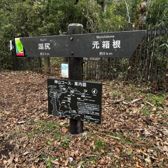 大涌谷までは今は行けないんだって