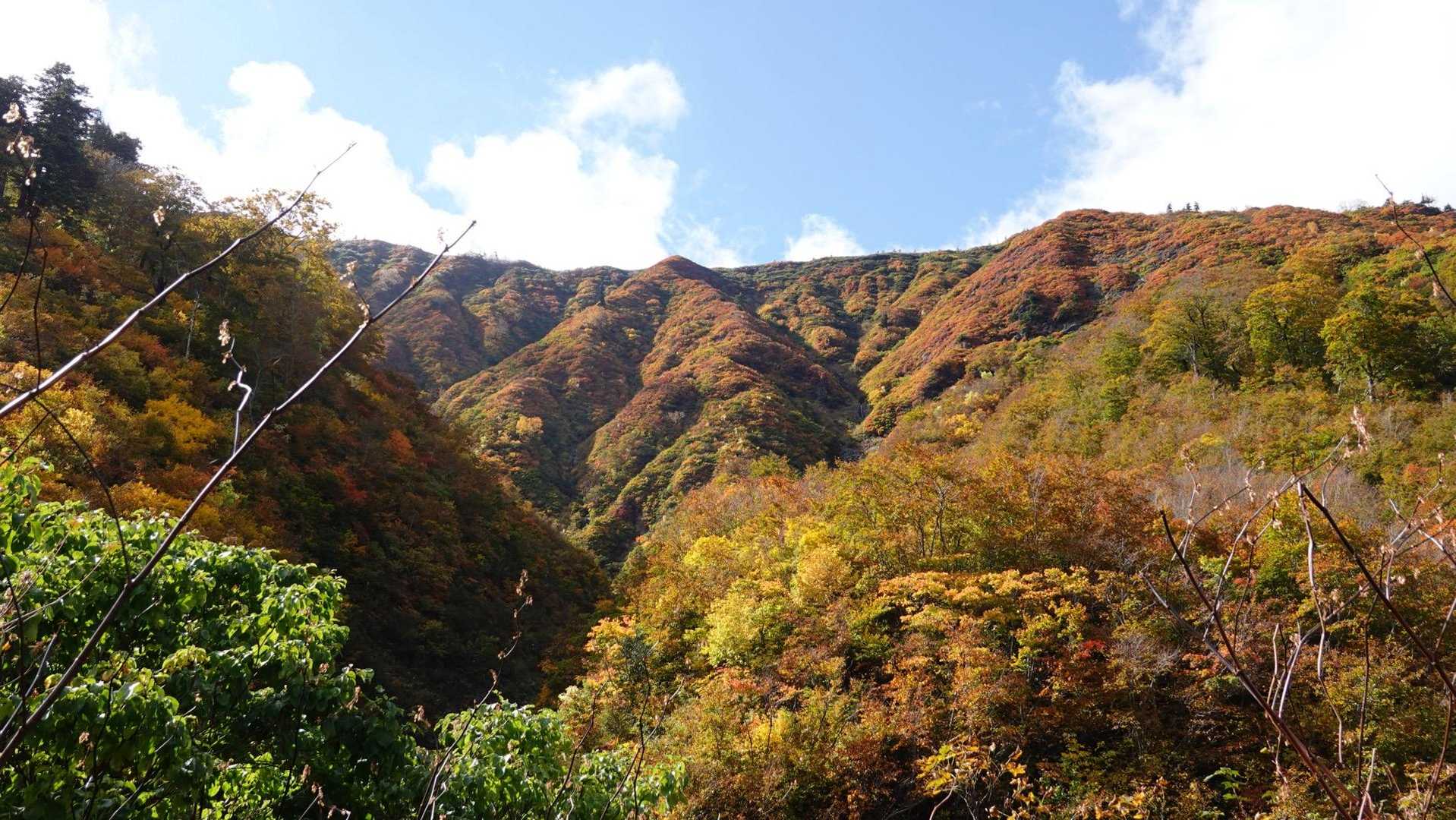 紅葉は青空が似合うね