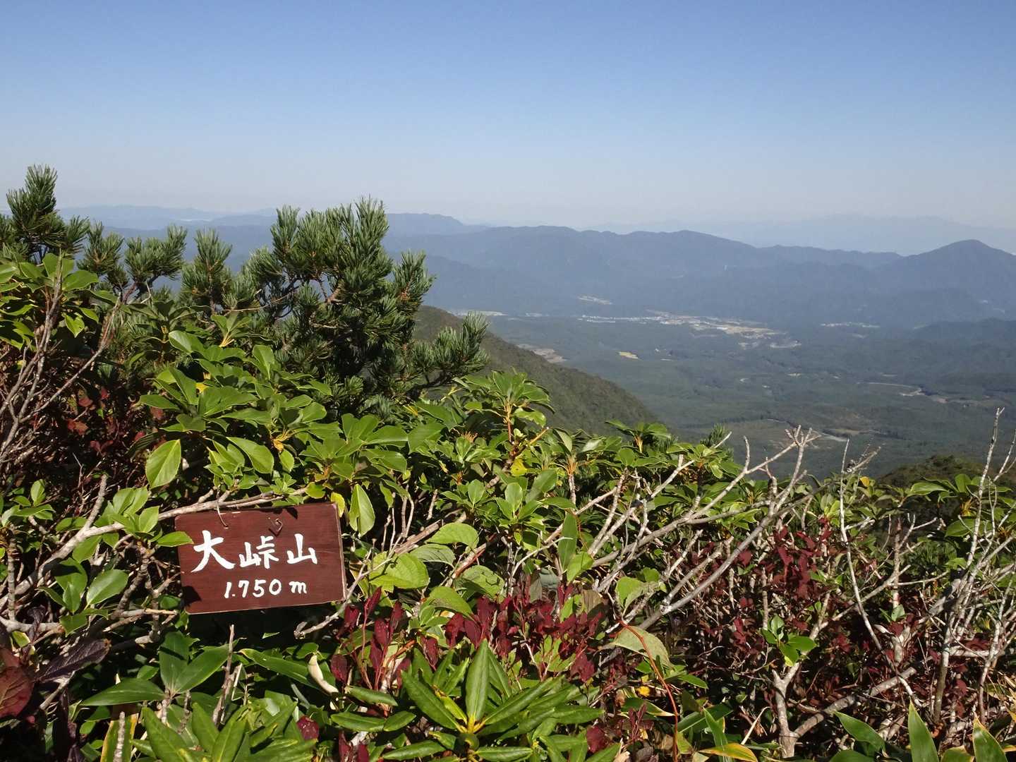 急登終了してなだらかな尾根でお初の山名板ありました😃