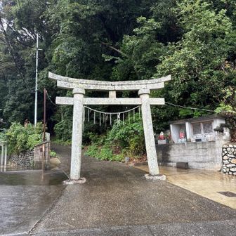 神社の鳥居、なんでもありだが由緒あるお寺であることがよくわかりました🙏