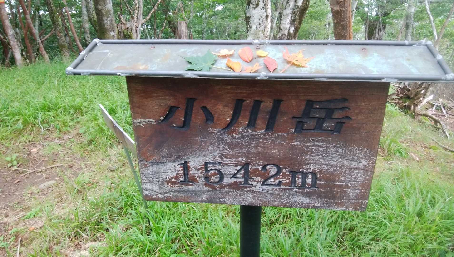 小川岳🗻山頂❇標識の上…秋🍁の気配😉