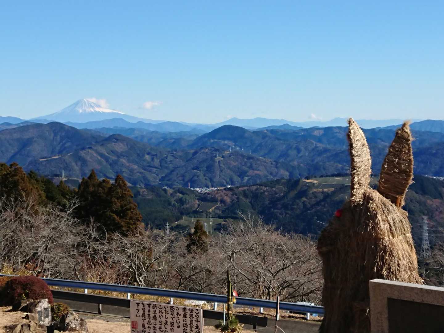 ウサギさん🐰もキレイな富士山🗻見てました