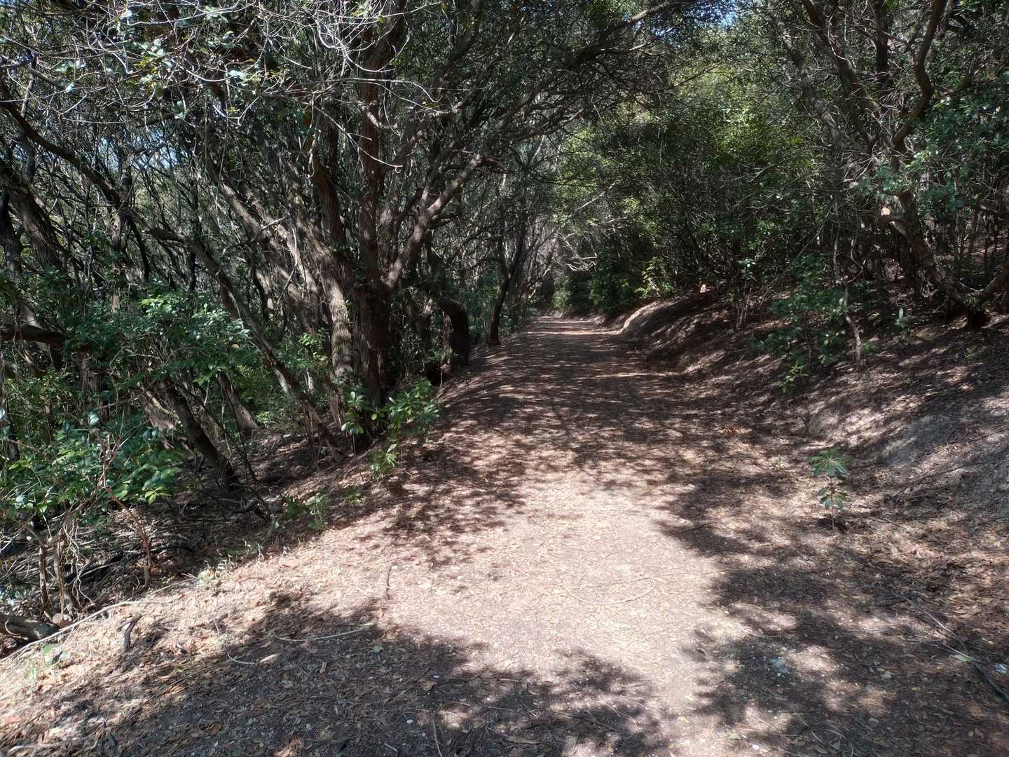 ってことで、
遊歩道を下っていきます
