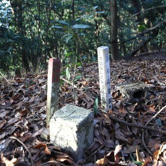 城ノ岡
YAMAP1574座目
■城山
等級 :　三等三角点
緯度 :　31.979357472
経度 :　131.022486778
標高 :　365.39m
COD :　TR34731707101
場所 :　宮崎県小林市
訪問 :　2025年12月27日