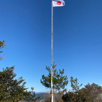 今日は綺麗になびいてる🇯🇵😄