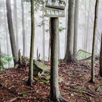 P444は鳥屋山
小さな祠も有ります