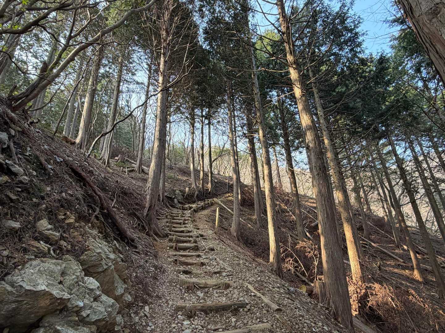 ベンチからはなだらかーな山道♡

ただーし
標高は階段であげる！！笑