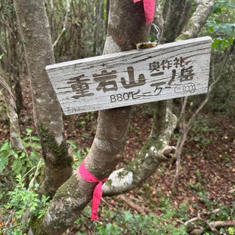 カサネイワヤマ
