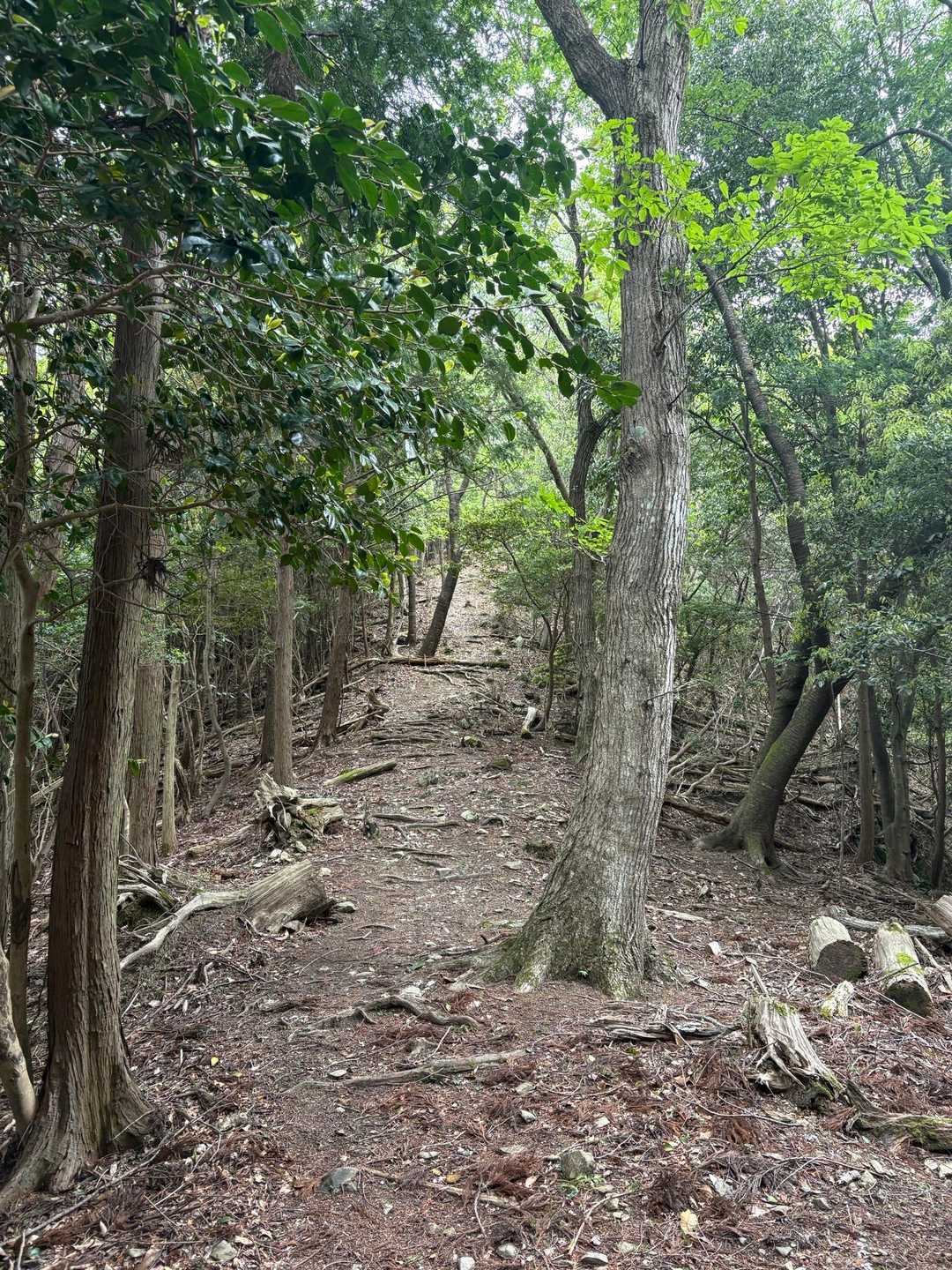 先に進む