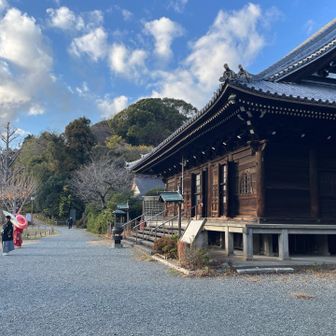 称名寺に降りて来た。あら、結婚式の前撮り中？🎎✨