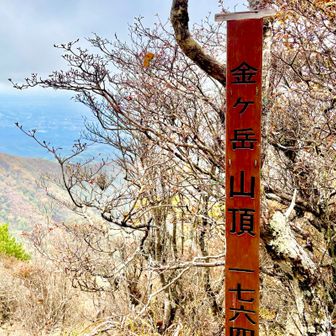 金ヶ岳登頂🙌
縁起良い山名ですよね🤷🏻‍♂️
金運✨🆙✨💴すると良いなぁ🙄